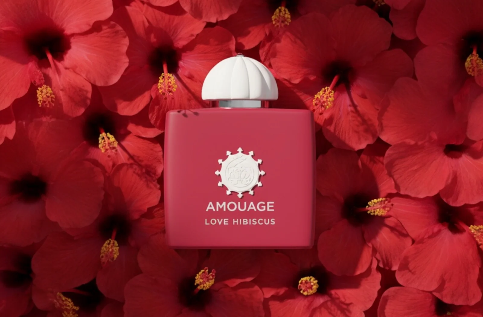 Luxury Fragrance, Perfectly Portioned